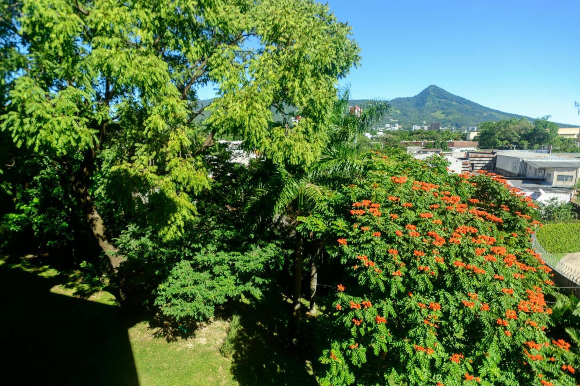 Courtyard By Marriott San Salvador Hotel Buitenkant foto